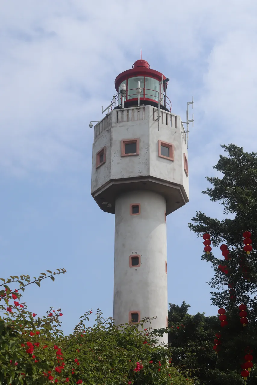 鳄鱼山火山公园现场照片 8