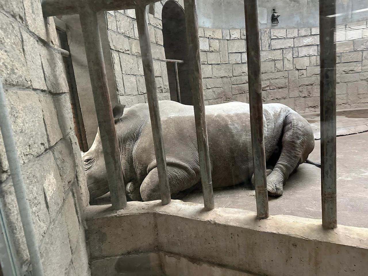 北京动物园现场照片 2