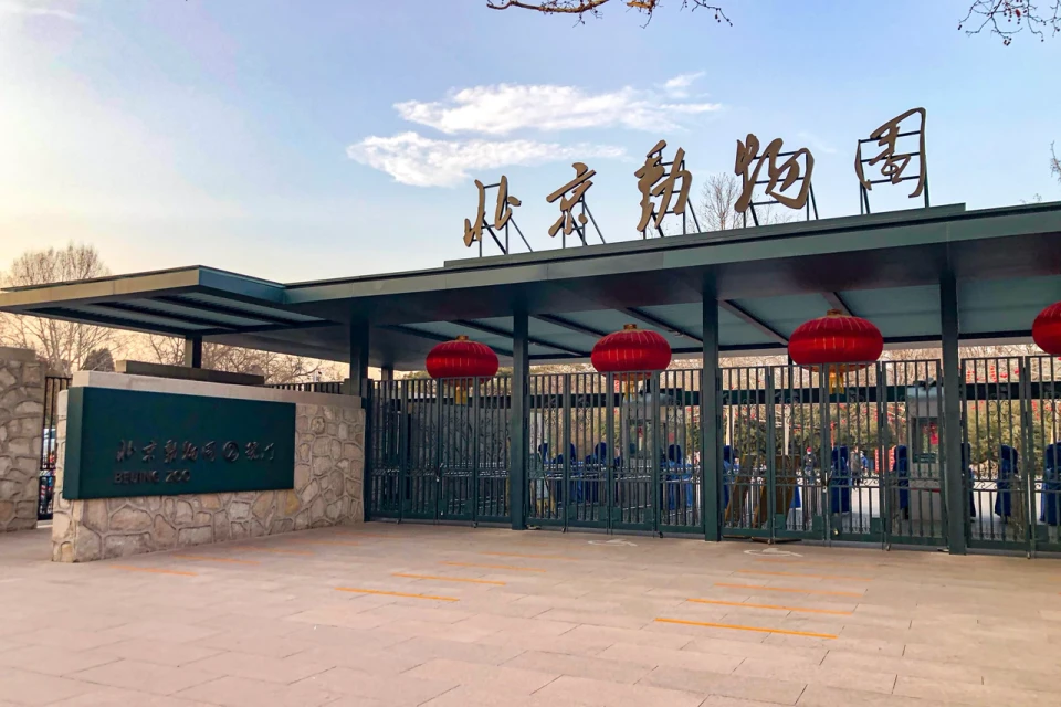 北京动物园现场照片 16