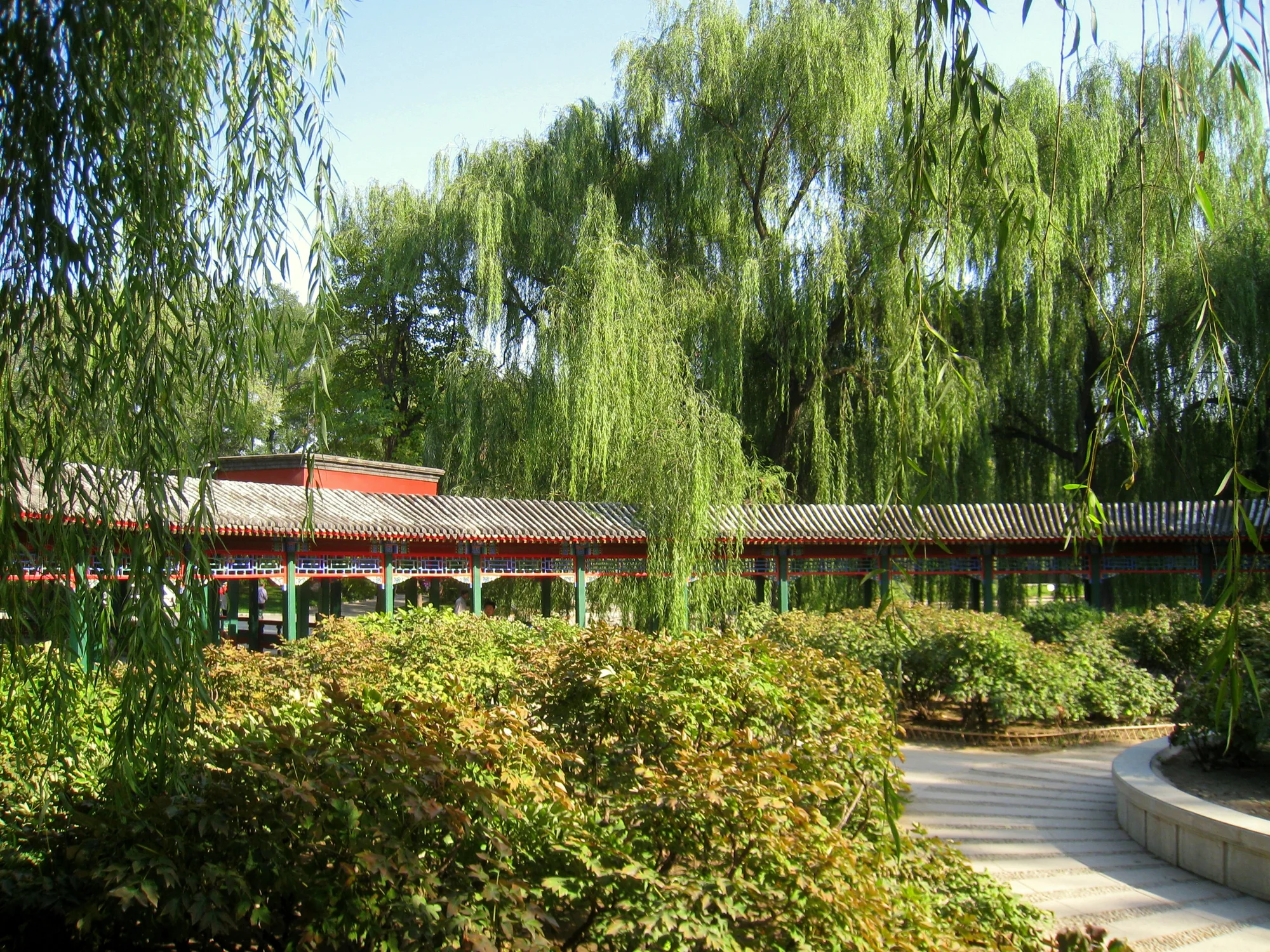 北京动物园现场照片 9