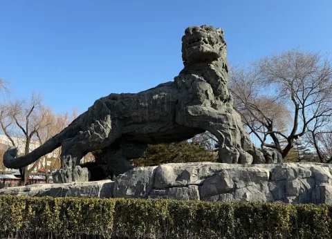 北京动物园现场照片 18