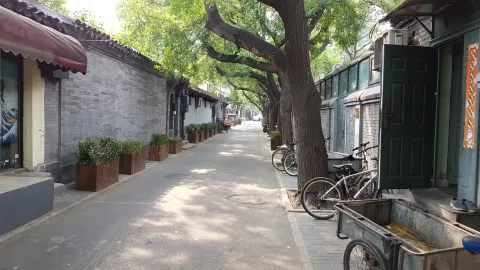 南锣鼓巷现场照片 2