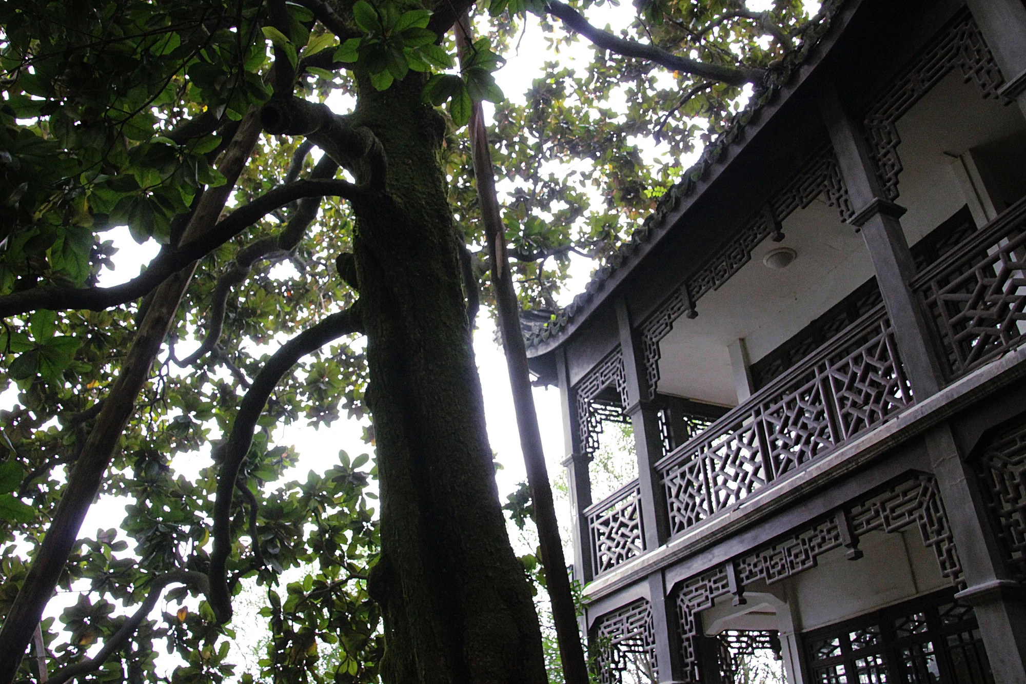 On-site photo 5 of Chao Zhou Xi Hu