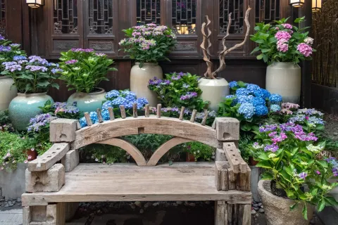 宽窄巷子现场照片 4