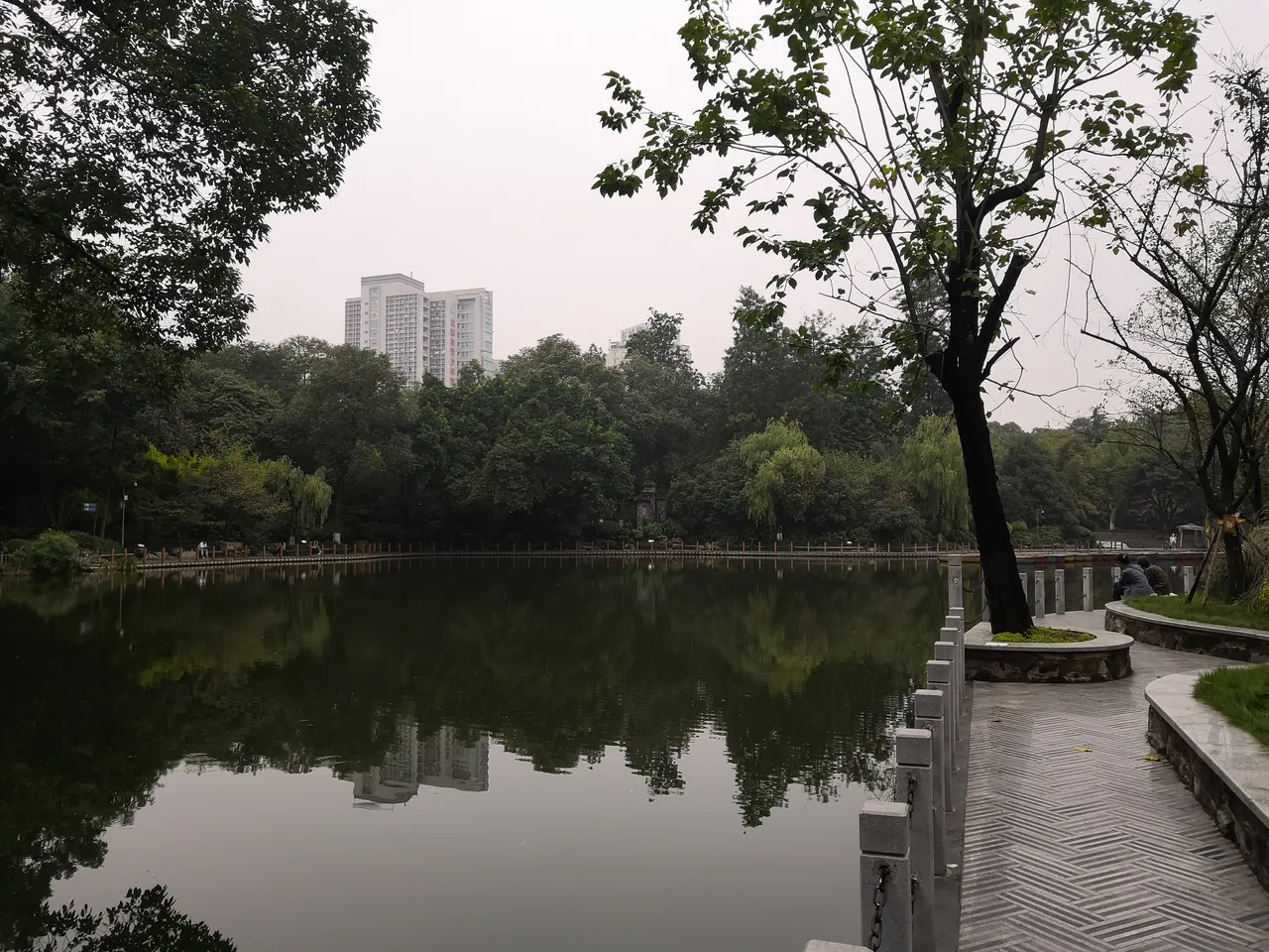 人民公园现场照片 8