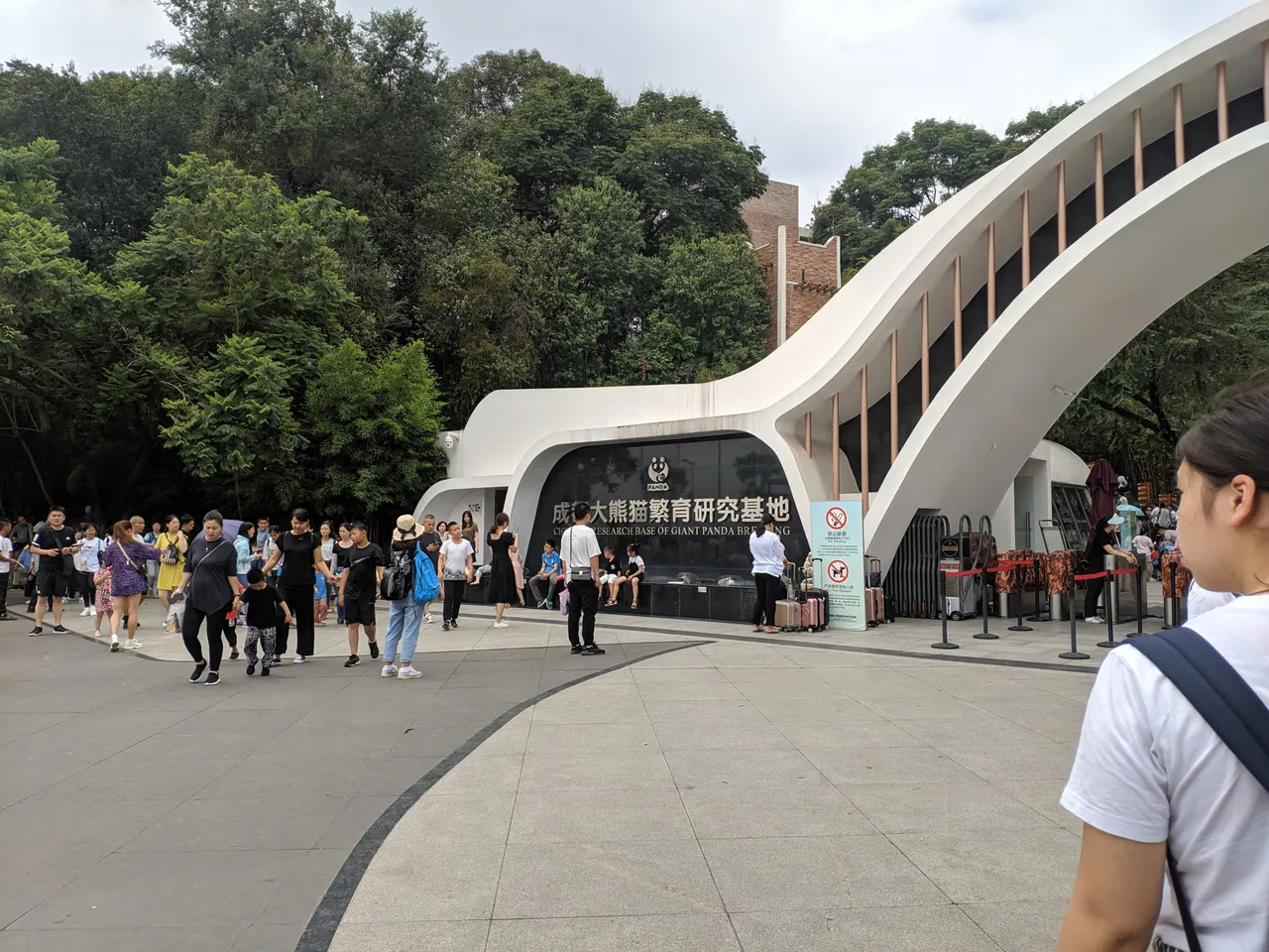 熊猫基地现场照片 4