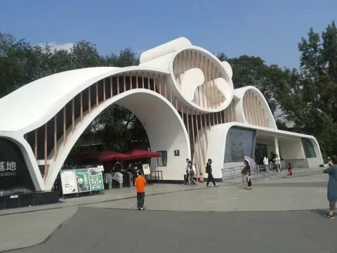 熊猫基地现场照片 10