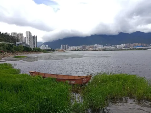 洱海公园现场照片 11