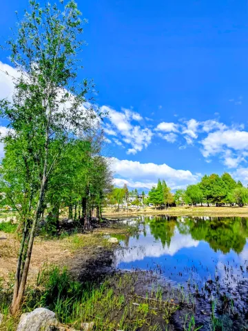 On-site photo 5 of Er Hai Yue Shi Di Park