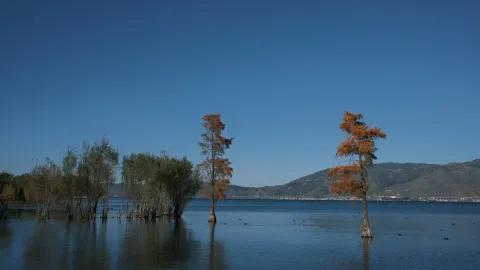 海舌公园现场照片 7