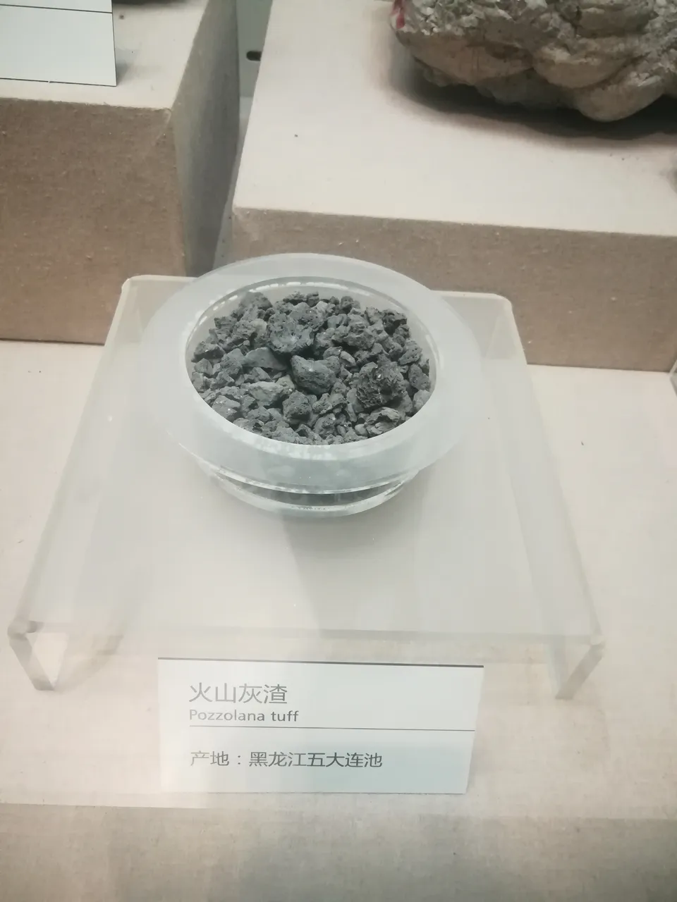 大连自然博物馆现场照片 2
