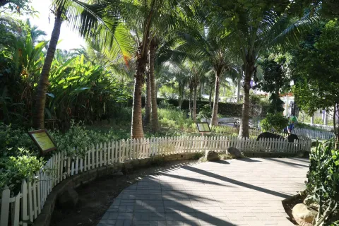 海南热带植物园现场照片 2