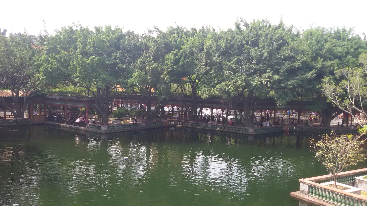 宝墨园现场照片 2