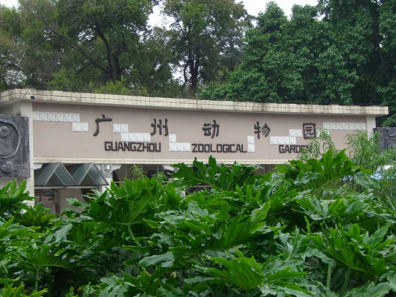 广州动物园现场照片 10