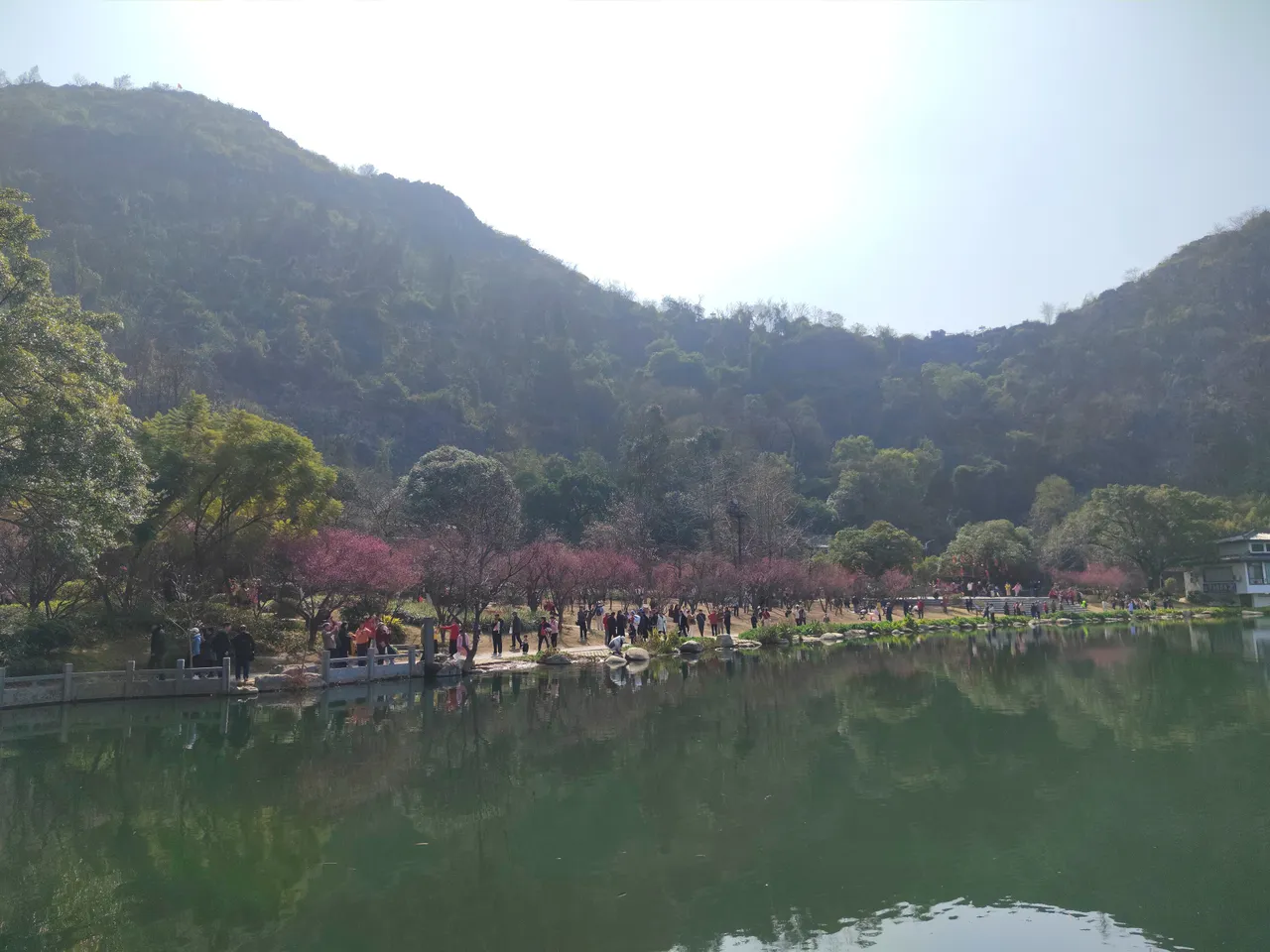 穿山公园现场照片 5