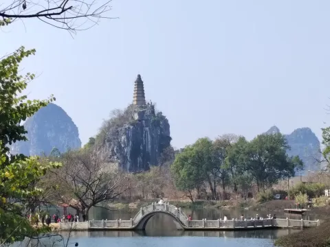 穿山公园现场照片 8