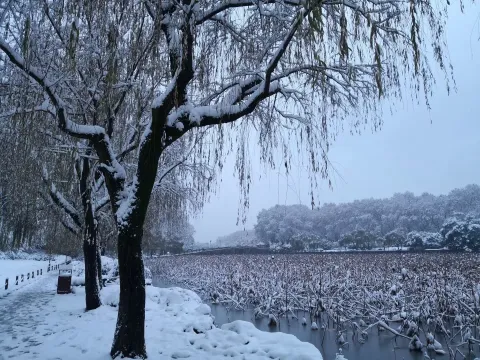 断桥残雪现场照片 4