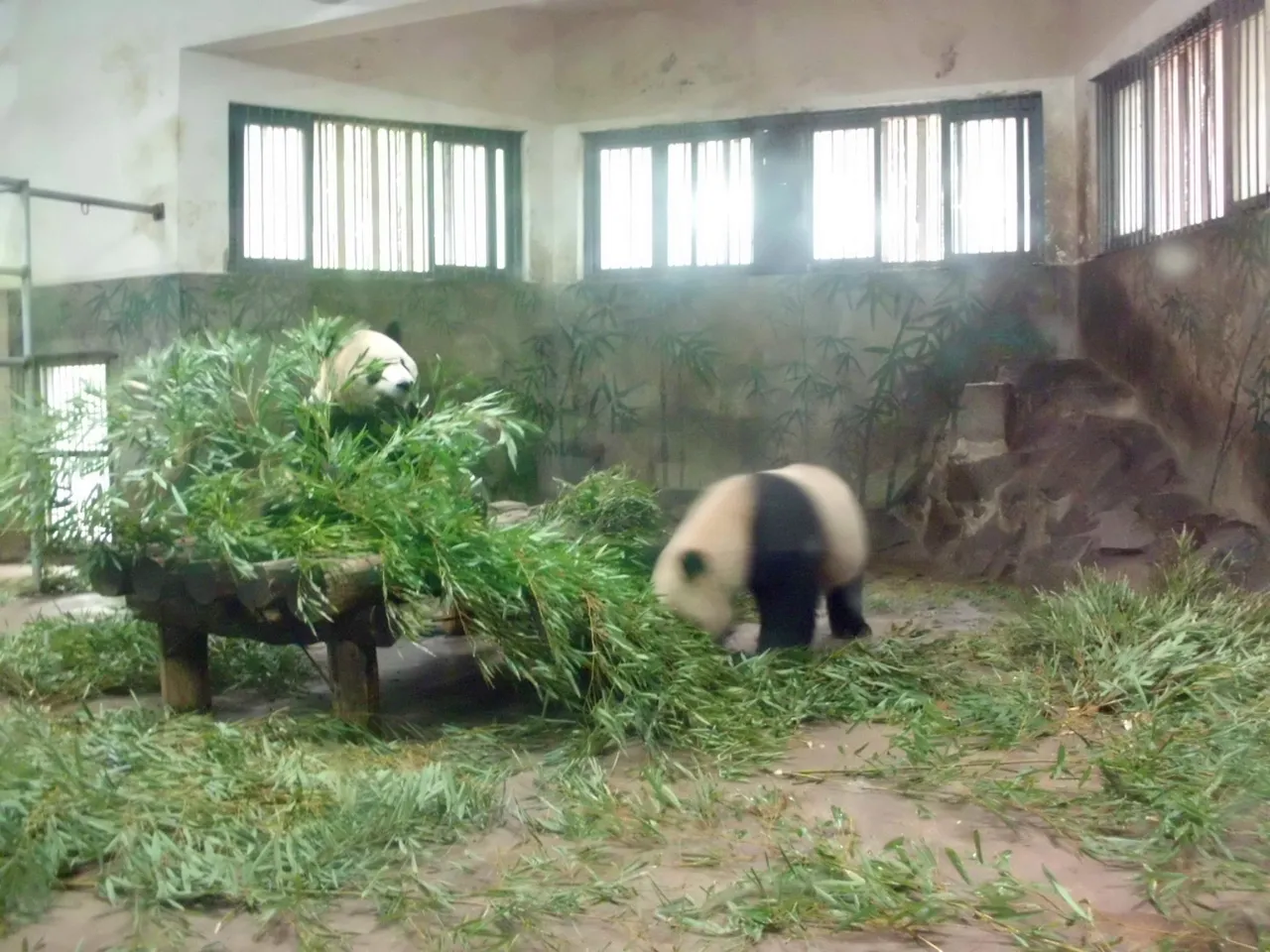 杭州动物园现场照片 6