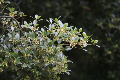 杭州植物园现场照片 3