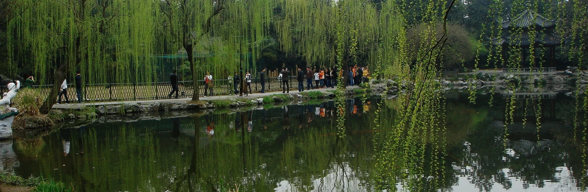 花港观鱼现场照片 2