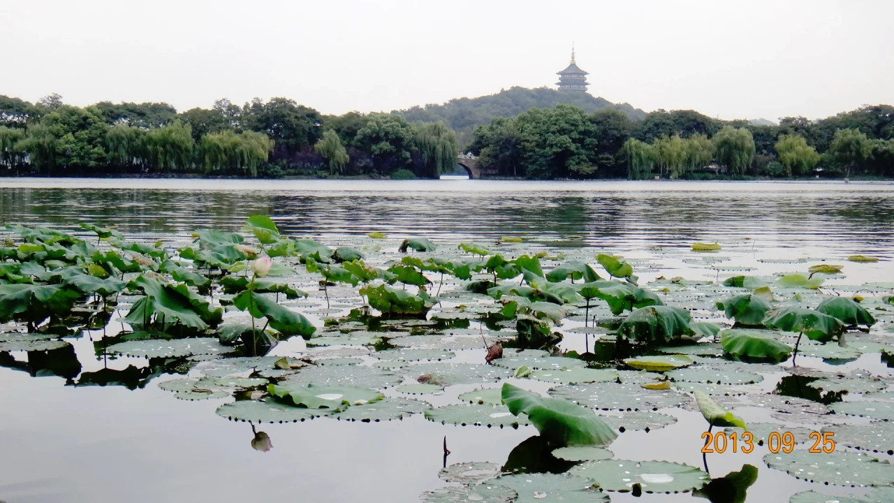 On-site photo 3 of 苏堤