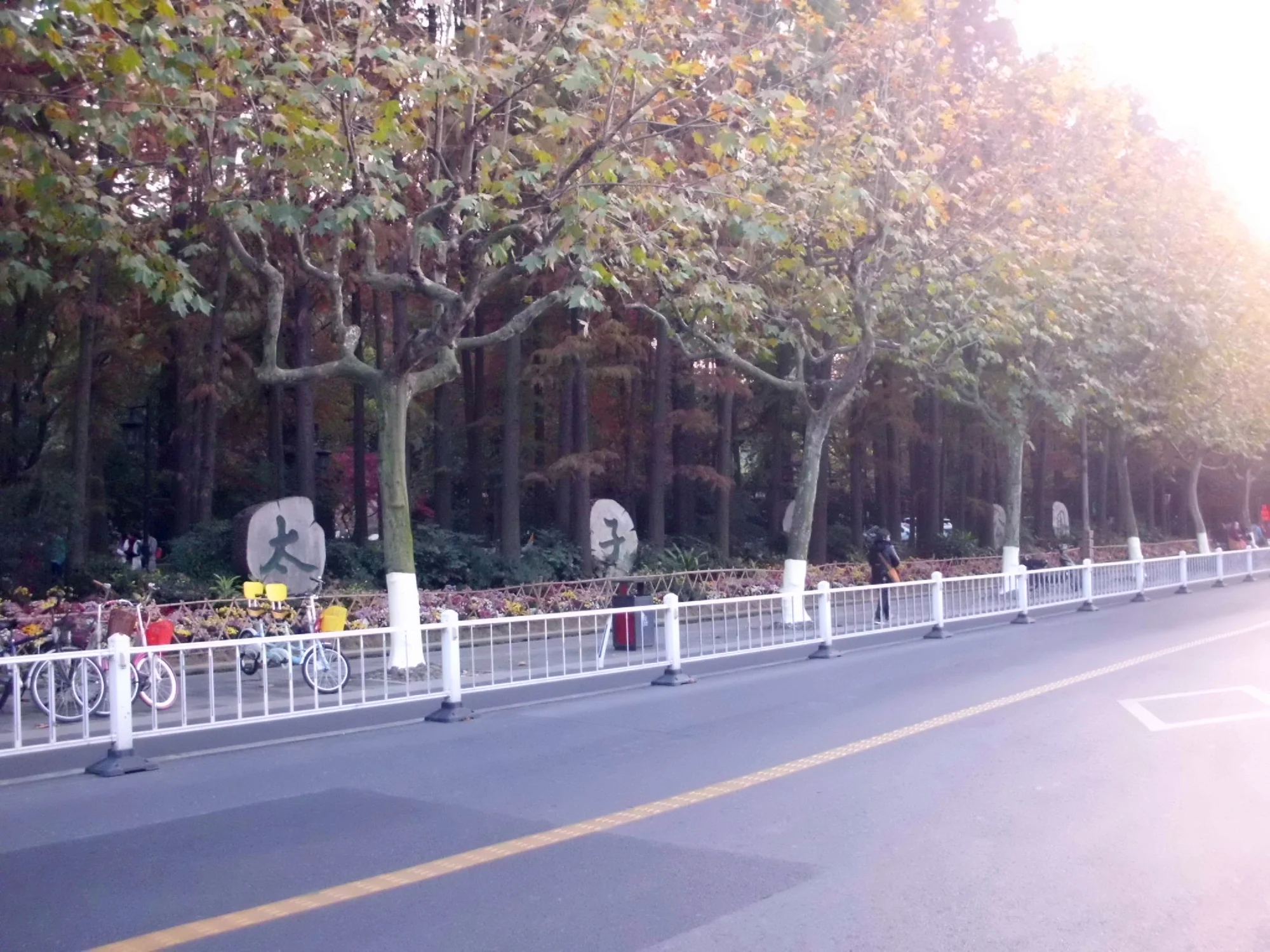 On-site photo 7 of 太子湾公园