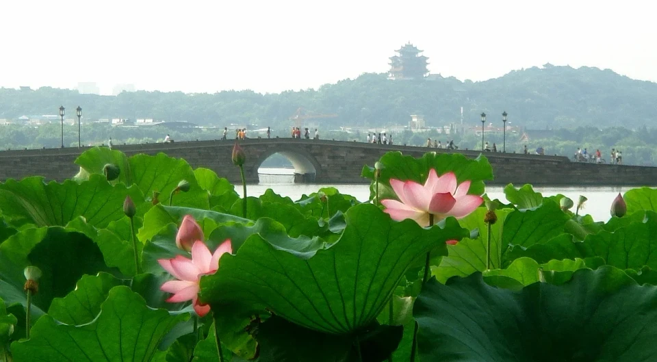 西湖现场照片 3