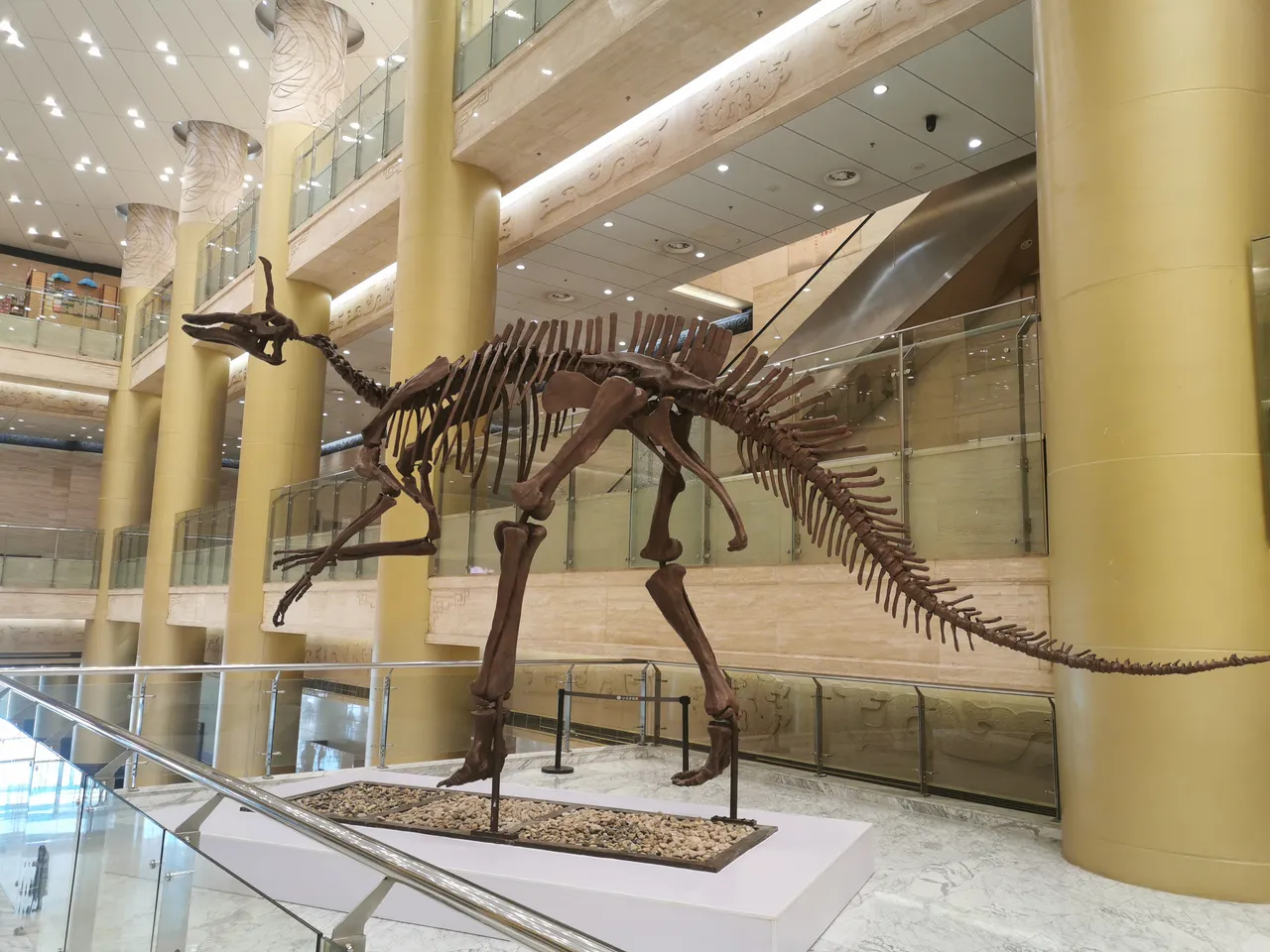 On-site photo 5 of Shan Dong Museum