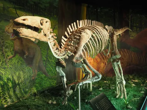 On-site photo 9 of Gan Su Sheng Museum