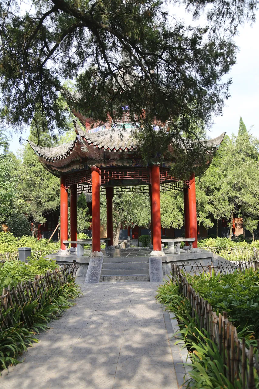 白马寺现场照片 4