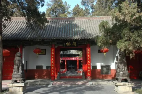 关林现场照片 2