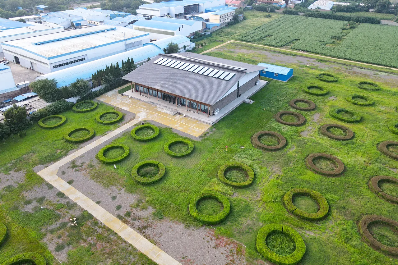 隋唐城遗址植物园现场照片 2