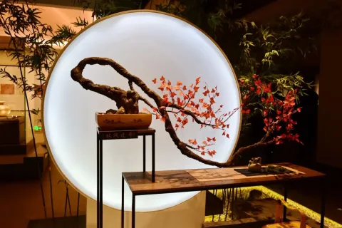 六朝博物馆现场照片 4