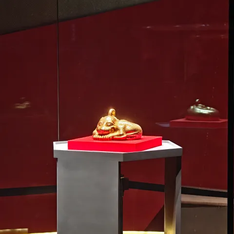 南京博物院现场照片 6