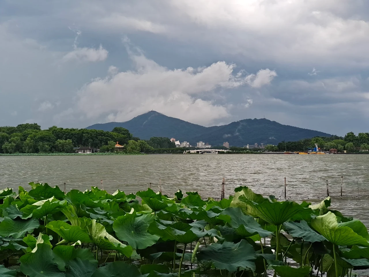 玄武湖现场照片 7