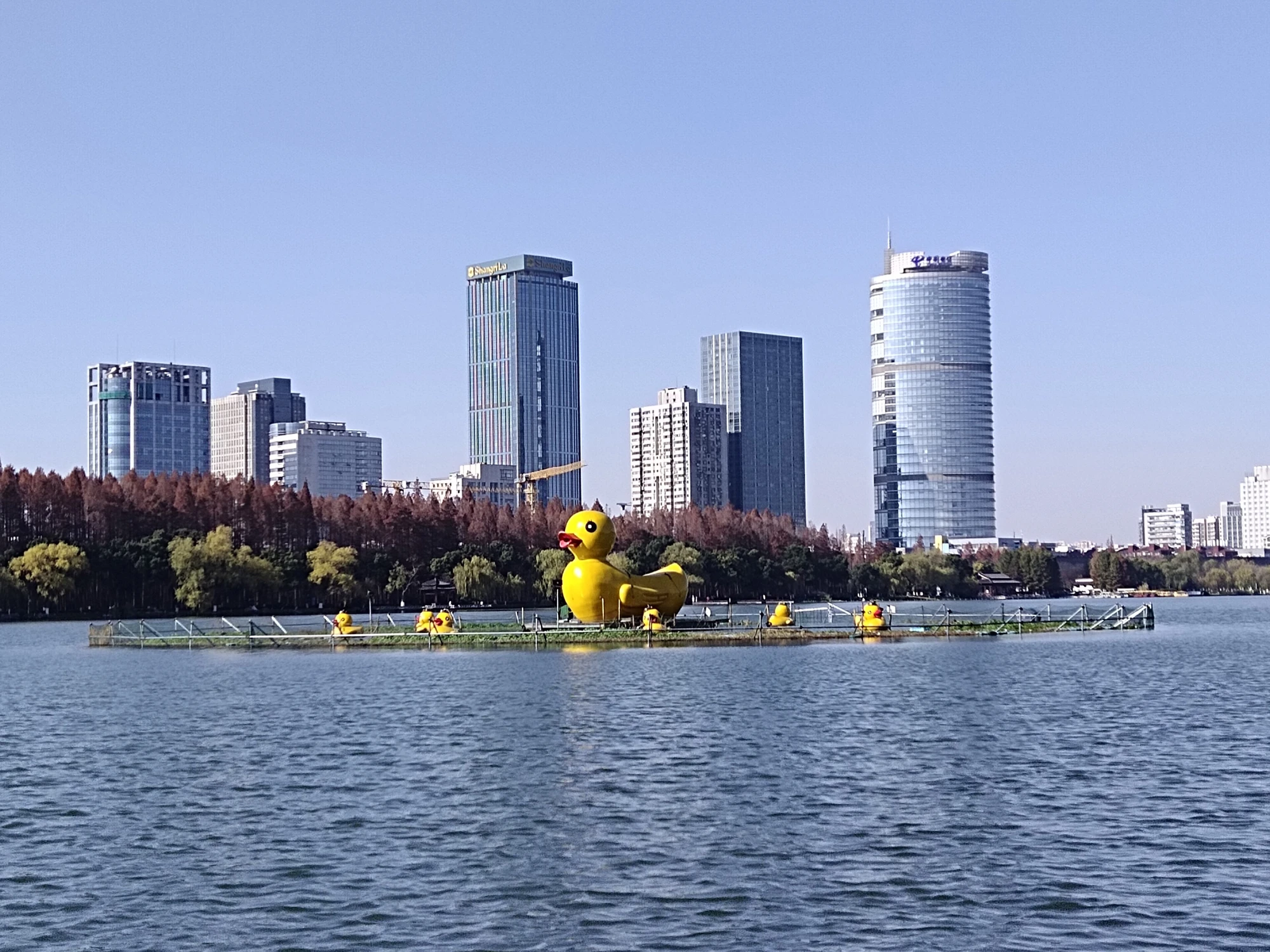 玄武湖现场照片 2