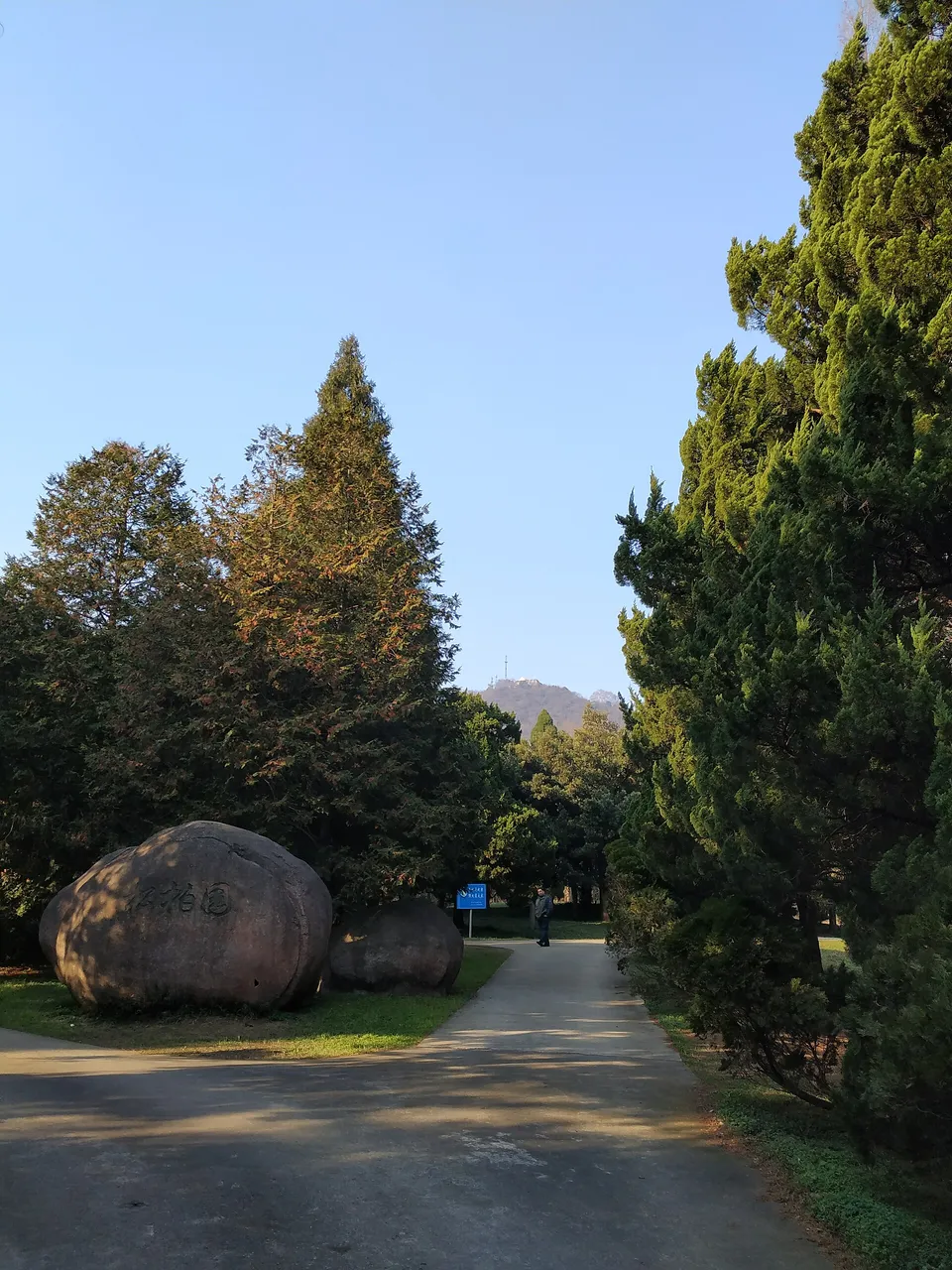 On-site photo 5 of Zhong Shan Botanical Garden