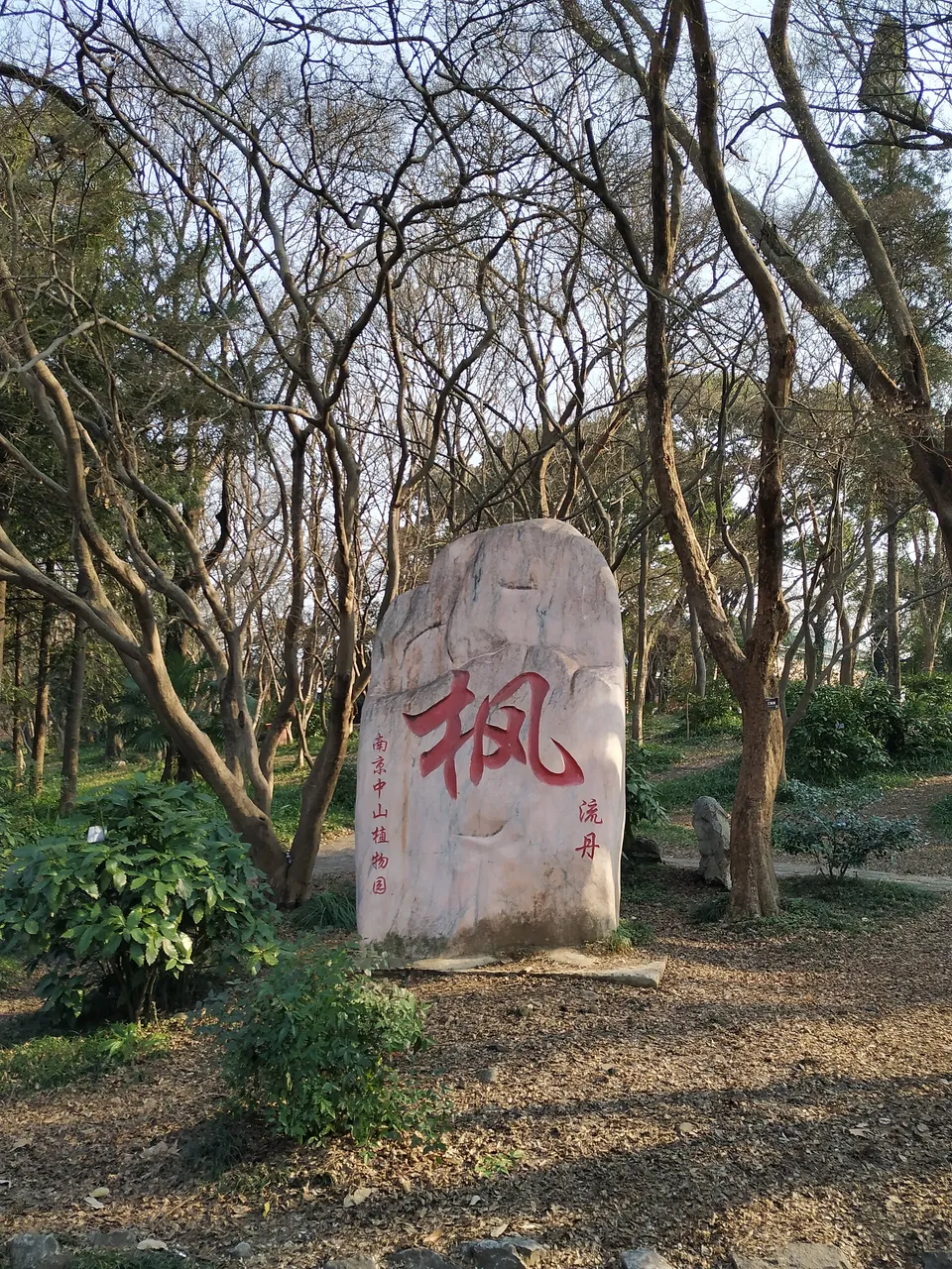 On-site photo 3 of Zhong Shan Botanical Garden