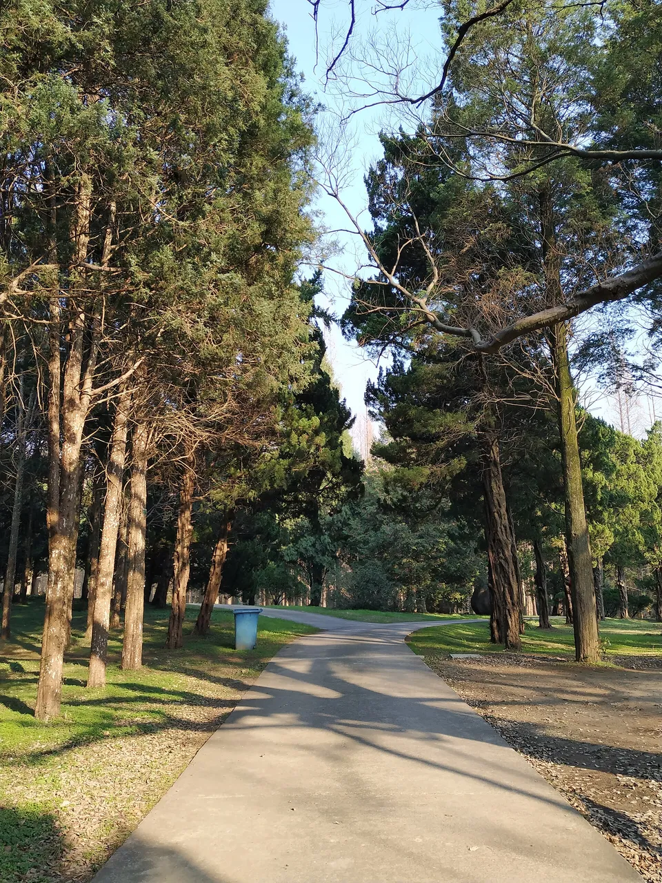 On-site photo 2 of Zhong Shan Botanical Garden