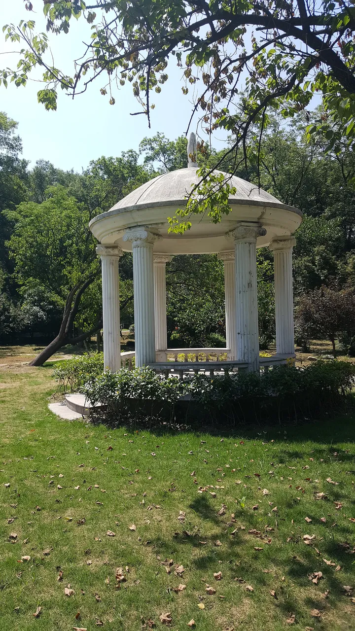 On-site photo 11 of Zhong Shan Botanical Garden