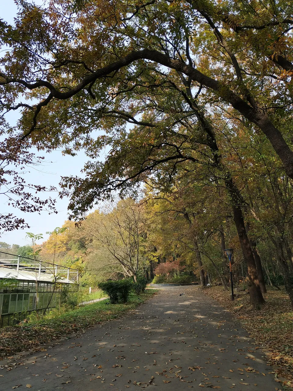 On-site photo 8 of Zhong Shan Botanical Garden