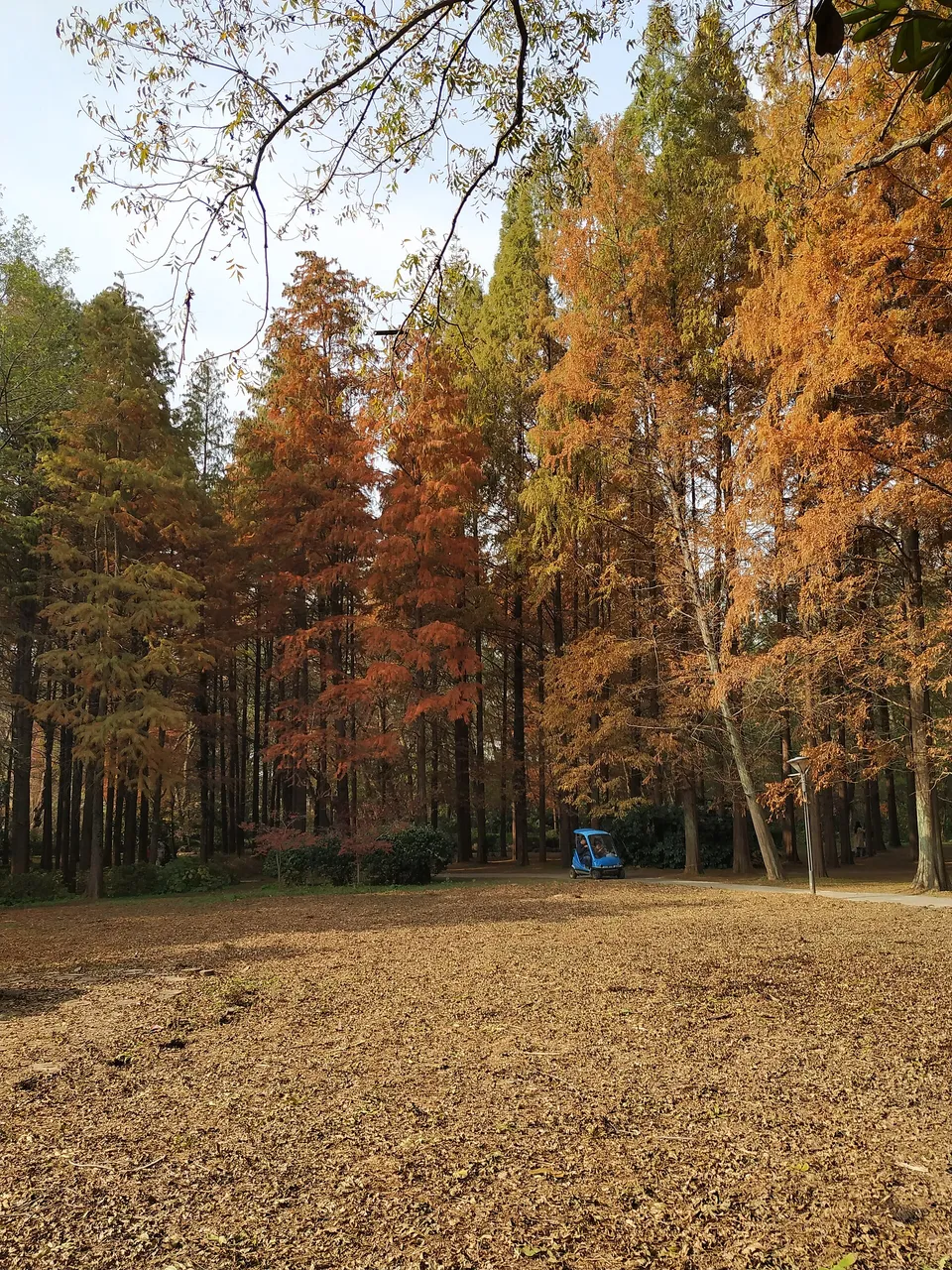 On-site photo 4 of Zhong Shan Botanical Garden
