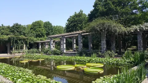 On-site photo 14 of Zhong Shan Botanical Garden
