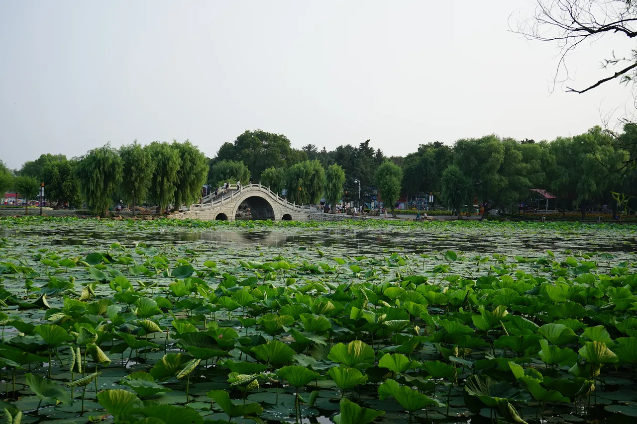 南湖公园现场照片 7