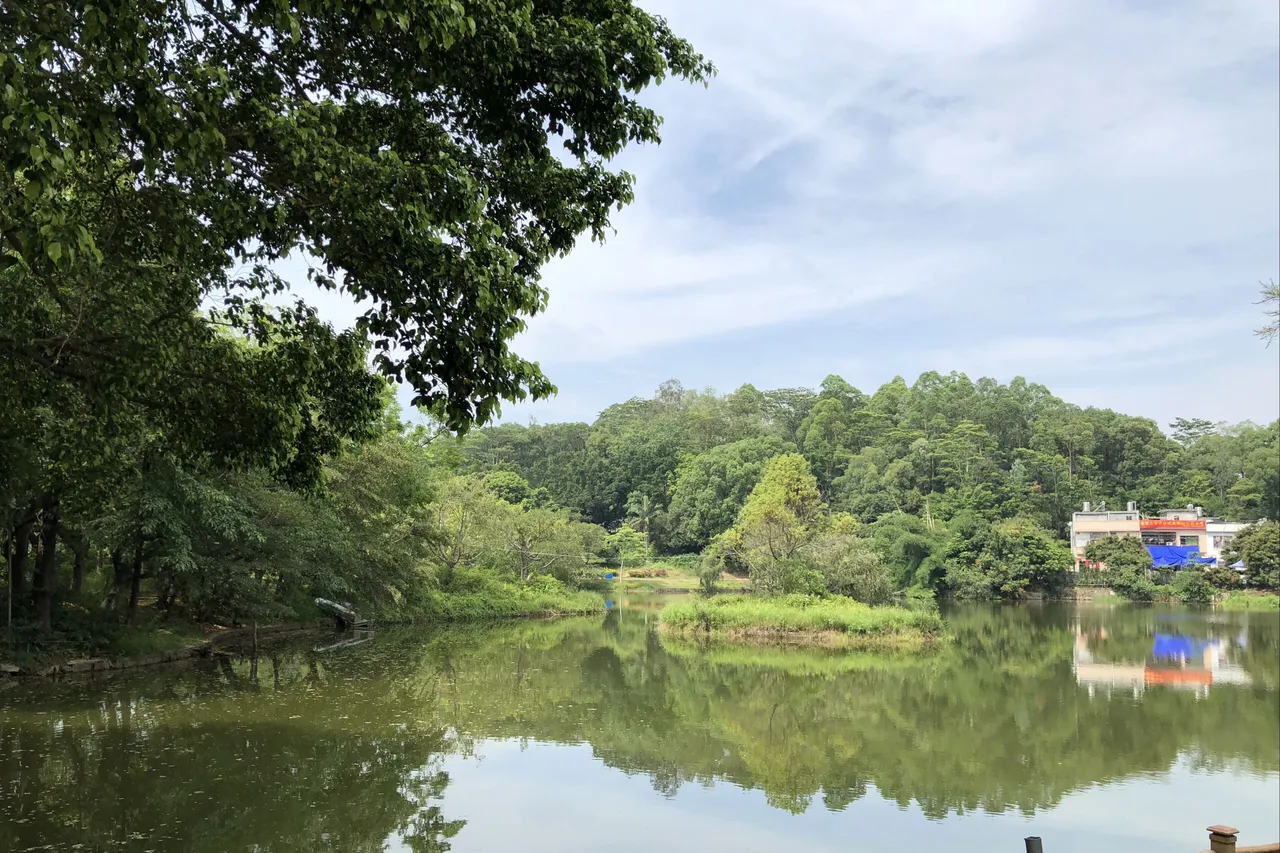 南湖公园现场照片 6