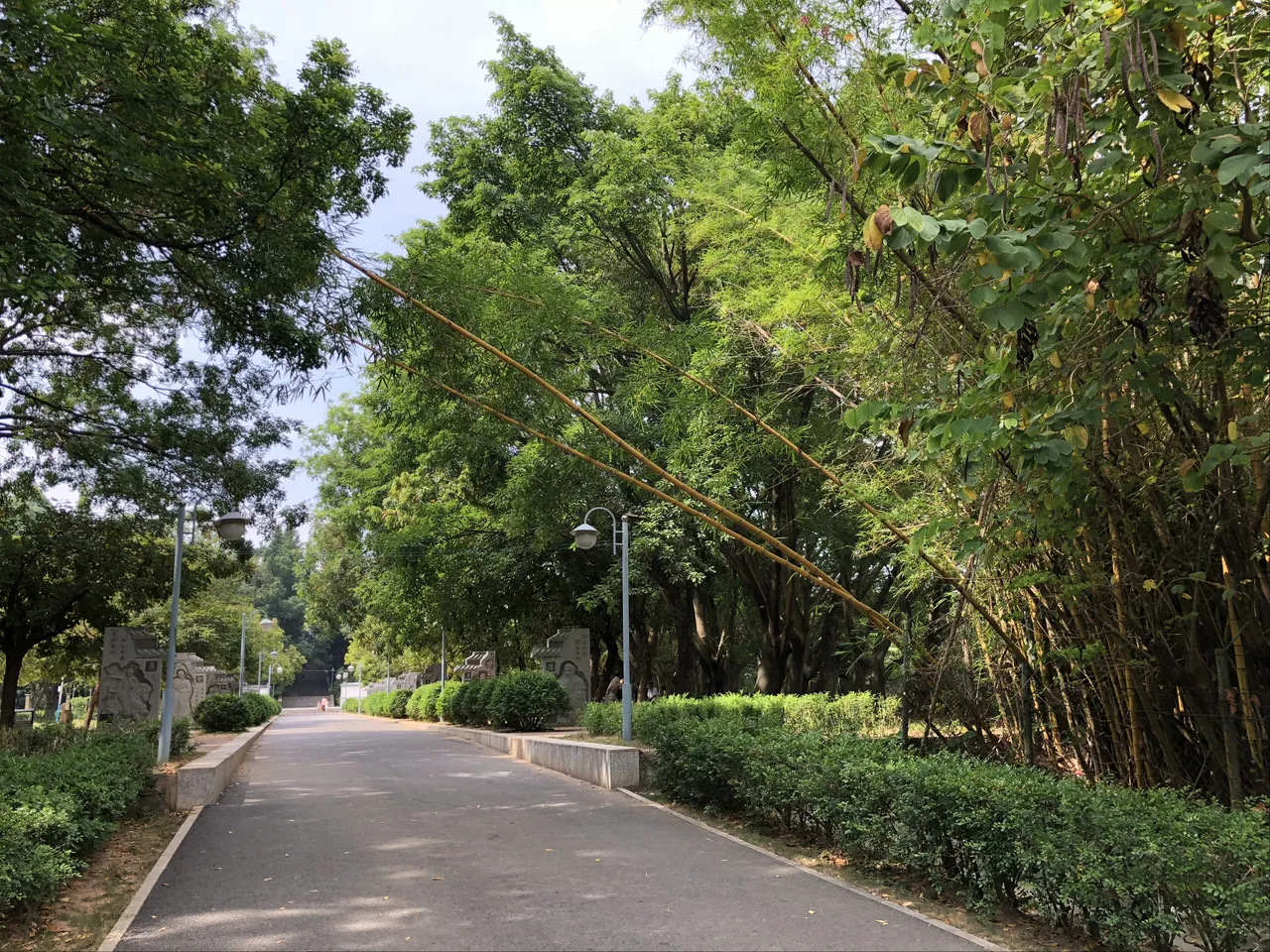 南湖公园现场照片 5