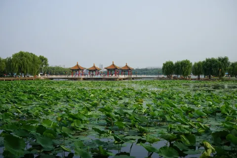 南湖公园现场照片 9