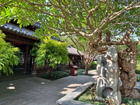 青秀山现场照片 8