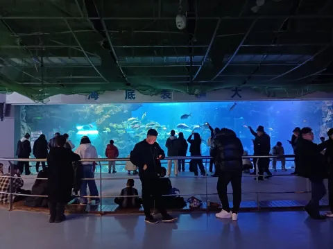 青岛海底世界现场照片 2