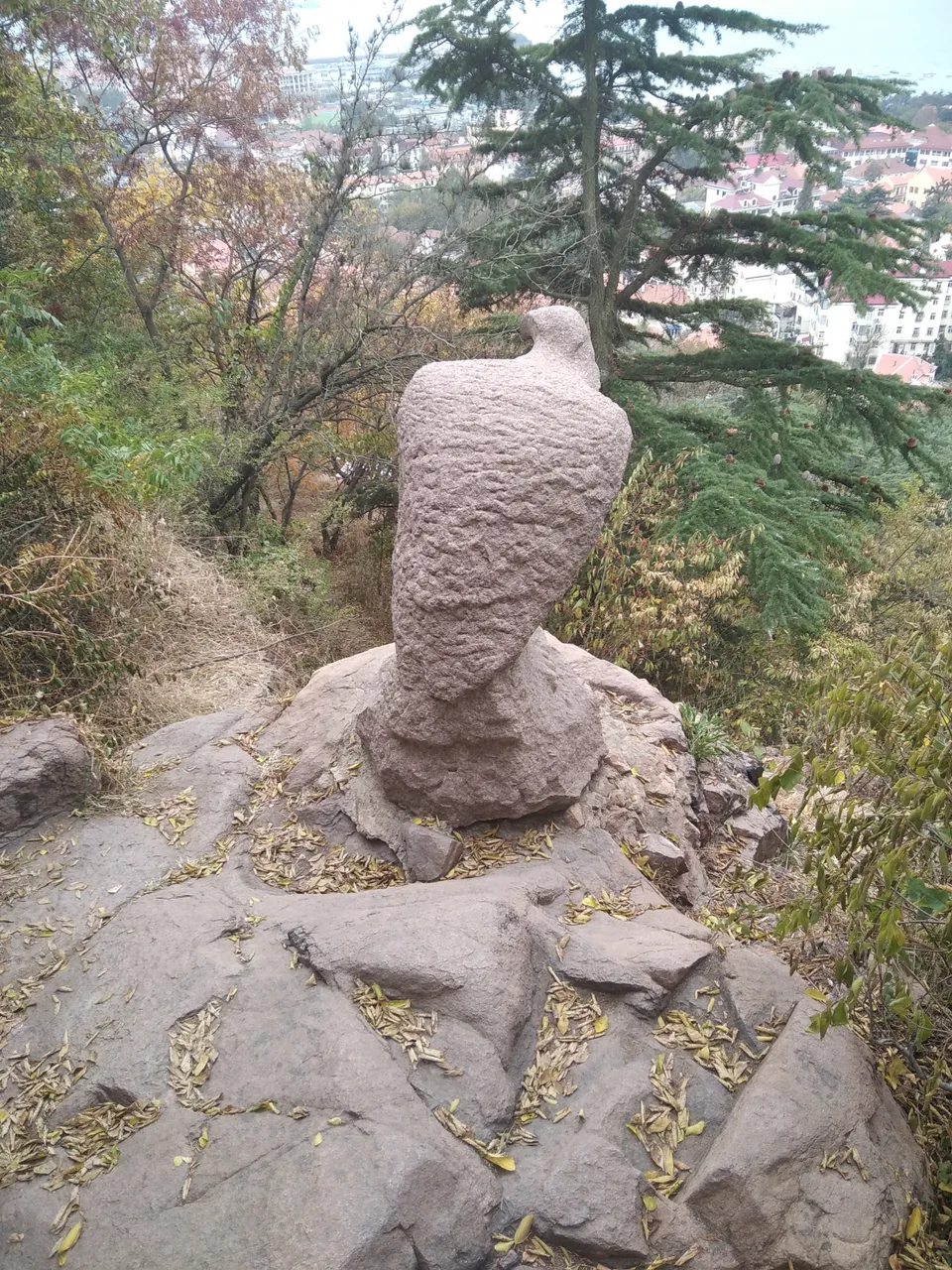 信号山公园现场照片 3